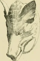 An illustration from Catalogue of plaster cast reproductions from antique, medieval and modern sculpture. (1894)
