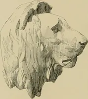 An illustration from Catalogue of plaster cast reproductions from antique, medieval and modern sculpture. (1894)