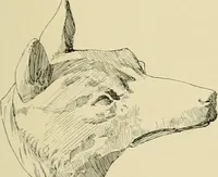 An illustration from Catalogue of plaster cast reproductions from antique, medieval and modern sculpture. (1894)