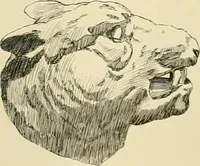 An illustration from Catalogue of plaster cast reproductions from antique, medieval and modern sculpture. (1894)
