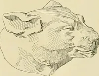 An illustration from Catalogue of plaster cast reproductions from antique, medieval and modern sculpture. (1894)