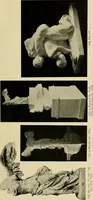 Picture 27 of 269 from Catalogue of plaster reproductions from antique, medieval and modern sculpture : subjects for art schools made and for sale by P.P. Caproni (1913), leaf 16