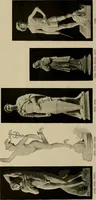 Picture 41 of 269 from Catalogue of plaster reproductions from antique, medieval and modern sculpture : subjects for art schools made and for sale by P.P. Caproni (1913), leaf 27