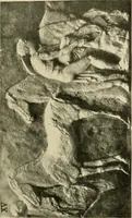 Picture 141 of 269 from Catalogue of plaster reproductions from antique, medieval and modern sculpture : subjects for art schools made and for sale by P.P. Caproni (1913), leaf 68