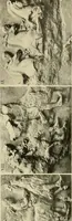 Picture 143 of 269 from Catalogue of plaster reproductions from antique, medieval and modern sculpture : subjects for art schools made and for sale by P.P. Caproni (1913), leaf 68
