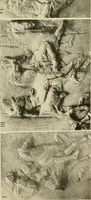 Picture 144 of 269 from Catalogue of plaster reproductions from antique, medieval and modern sculpture : subjects for art schools made and for sale by P.P. Caproni (1913), leaf 68