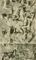 Picture 145 of 269 from Catalogue of plaster reproductions from antique, medieval and modern sculpture : subjects for art schools made and for sale by P.P. Caproni (1913), leaf 68