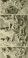 Picture 146 of 269 from Catalogue of plaster reproductions from antique, medieval and modern sculpture : subjects for art schools made and for sale by P.P. Caproni (1913), leaf 68