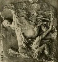 Picture 149 of 269 from Catalogue of plaster reproductions from antique, medieval and modern sculpture : subjects for art schools made and for sale by P.P. Caproni (1913), leaf 69