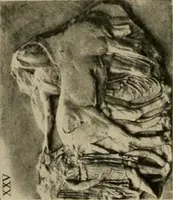Picture 151 of 269 from Catalogue of plaster reproductions from antique, medieval and modern sculpture : subjects for art schools made and for sale by P.P. Caproni (1913), leaf 69