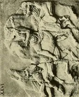 Picture 161 of 269 from Catalogue of plaster reproductions from antique, medieval and modern sculpture : subjects for art schools made and for sale by P.P. Caproni (1913), leaf 70