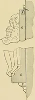 Picture 11 of 269 from Catalogue of plaster reproductions from antique, medieval and modern sculpture : subjects for art schools made and for sale by P.P. Caproni (1913), leaf 8
