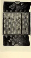 Picture 14 of 15 from Catalogue of rare and superb collection of antique clocks, armors and musical instruments from Japan and China (1904), leaf 121