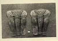 Picture 5 of 15 from Catalogue of rare and superb collection of antique clocks, armors and musical instruments from Japan and China (1904), leaf 47