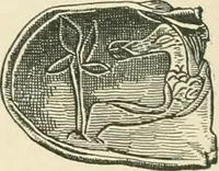 Picture 20 of 103 from Catalogue of the silver plate (Greek, Etruscan and Roman) in the British Museum (1921), leaf 55