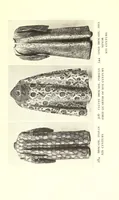 An illustration from Catalogue of a special exhibition of textiles (1915)