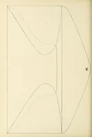 An illustration from Catalogue of the stamps, envelopes and wrappers of the United States of American and of the Confederate States of America (1900)