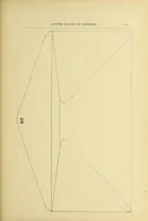 An illustration from Catalogue of the stamps, envelopes and wrappers of the United States of American and of the Confederate States of America (1900)