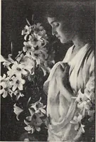 An illustration from Catalogue of summer exhibition, 1906. (1906)