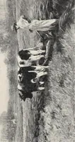 An illustration from Catalogue of summer exhibition, 1907. (1907)
