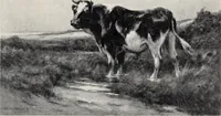 An illustration from Catalogue of summer exhibition, 1907. (1907)