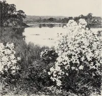 An illustration from Catalogue of summer exhibition, 1907. (1907)