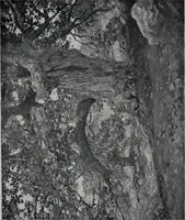 Picture 10 of 12 from Catalogue of summer exhibition, 1908. (1908), leaf 34
