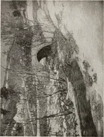 An illustration from Catalogue of summer exhibition, 1910. (1910)