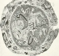 An illustration from Catalogue of textiles from burying-grounds in Egypt (1920)
