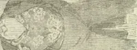 An illustration from Catalogue of the valuable literary and art property gathered by the late Augustin Daly, to be disposed of at absolute public sale .. (1900)
