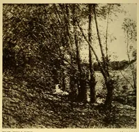 An illustration from Catalogue of the Walter H. Schulze gallery of American paintings (1920)