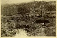 An illustration from Catalogue of the Walter H. Schulze gallery of American paintings (1920)