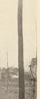 An illustration from Catalogue of the works of art belonging to the city of New York (1909)