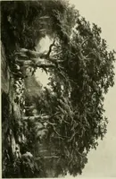 Picture 42 of 150 from Catalogue of works of art ... also views of the summer and winter homes (1884), leaf 172