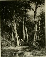 An illustration from Catalogue of works of art ... also views of the summer and winter homes (1884)