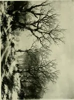 Picture 125 of 150 from Catalogue of works of art ... also views of the summer and winter homes (1884), leaf 480