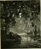 An illustration from Catalogue of works of art ... also views of the summer and winter homes (1884)