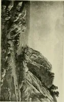An illustration from Catalogue of works of art ... also views of the summer and winter homes (1884)