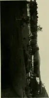 Picture 14 of 150 from Catalogue of works of art ... also views of the summer and winter homes (1884), leaf 68