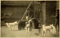 An illustration from Catalogue painting and sculpture, April 1912 (1912)
