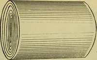 Picture 7 of 15 from Catalogue and price list of the Supply Department [serial] (1911), leaf 14