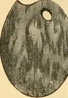 An illustration from Catalogue and price list of artists' materials. (1857)