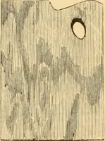 An illustration from Catalogue and price list of artists' materials. (1857)