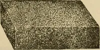 An illustration from Catalogue and price list of Mackey print paoer co. (1897)