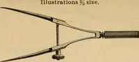 An illustration from Catalogue and price list of Mackey print paoer co. (1897)