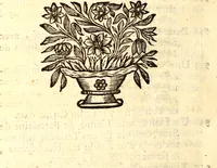 An illustration from Catalogue raisonné d'une collection considerable de diverses curiosités en tous genres : contenuës dans les cabinets de feu Monsieur Bonnier de la Mosson, bailly & capitaine des chasses de la Varenne des Thuilleries & ancien Colonel du regiment dauphin (1744)