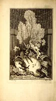 An illustration from Catalogue raisonné d'une collection considerable de diverses curiosités en tous genres : contenuës dans les cabinets de feu Monsieur Bonnier de la Mosson, bailly & capitaine des chasses de la Varenne des Thuilleries & ancien Colonel du regiment dauphin (1744)