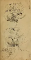 An illustration from Catalogue raisonné des différens objets de curiosités dans les sciences et arts : qui composoient le cabinet de feu Mr. Mariette, controleur général de la Grande Chancellerie de France ... (1775)