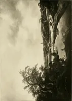 Picture 3 of 6 from A catalogue raisonné of the works of the most eminent Dutch, Flemish, and French painters : in which is included a short biographical notice of the artists, with a copious description of their principal pictures; a statement of the prices at which such pictures have been sold at public sales on the continent and in England; a reference to the galleries and private collections, in which a large portion are at present; and the names of the artists by whom they have been engraved; to which is added, a brief notice of the scholars & imitators of the great masters of the above schools (1908), leaf 121