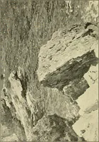 An illustration from Catalogues of exhibitions (1900)